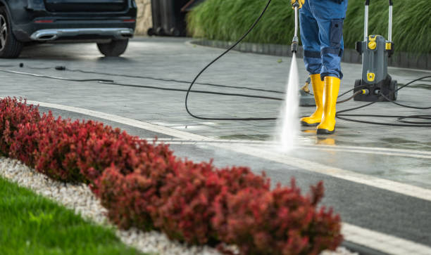 Best Sidewalk and Walkway Cleaning  in Bayou Lourse, LA